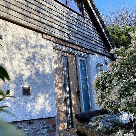 Coombe Edge Cottage Honiton Exterior foto